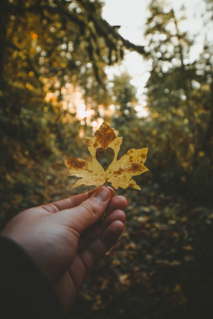 elke-karin-lugert-GraajutbJHE-unsplash Tegn på spiseforstyrrelser
